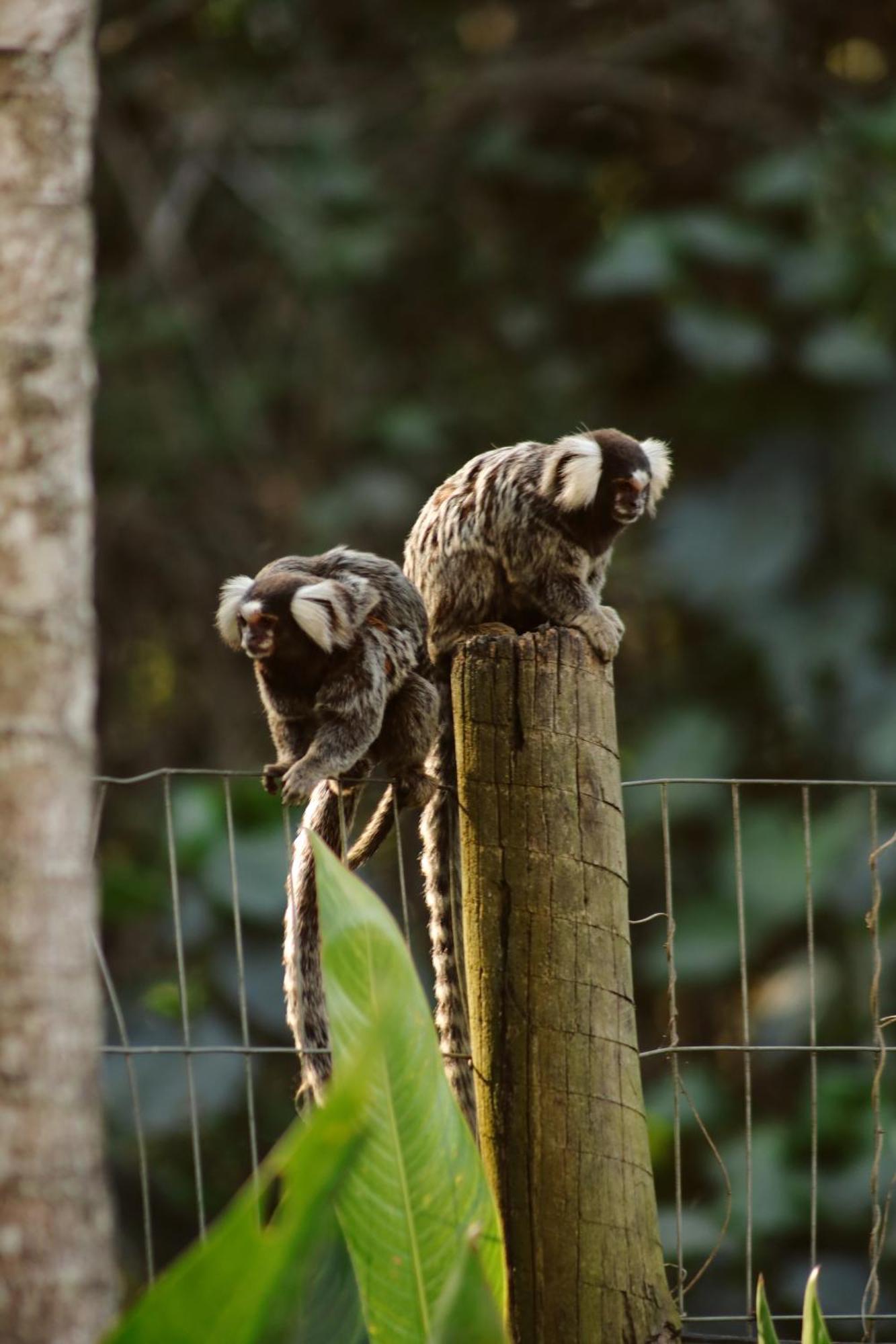 Pousada Recanto Jota Ge Parati Exterior foto
